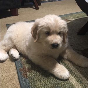 Meet your Posher, Tabatha